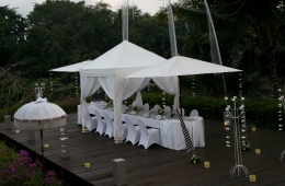 fotos-cees-en-francis-75